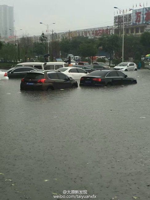 高卷杏