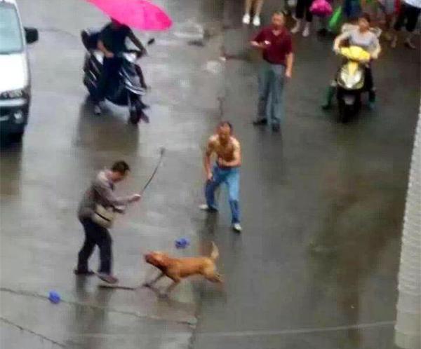 就要搞搞自拍偷拍性爱电影