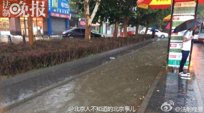 性生活片