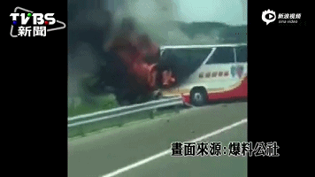 福建大菠萝导航