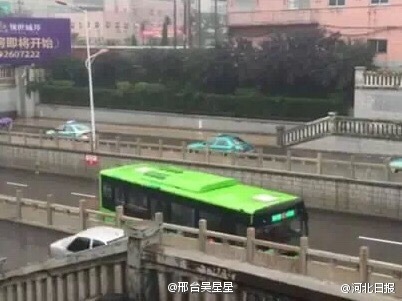 欧美黄网在线观看