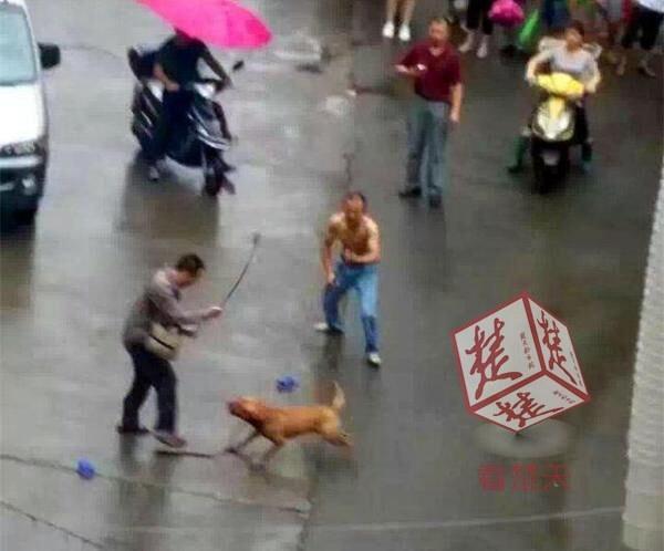 水多多高清全集免费在线观看