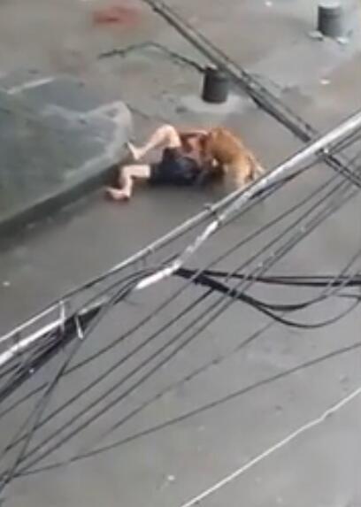 老人做爰全过程