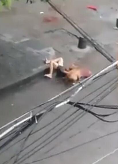 欧美人兽杂交一级黄色片