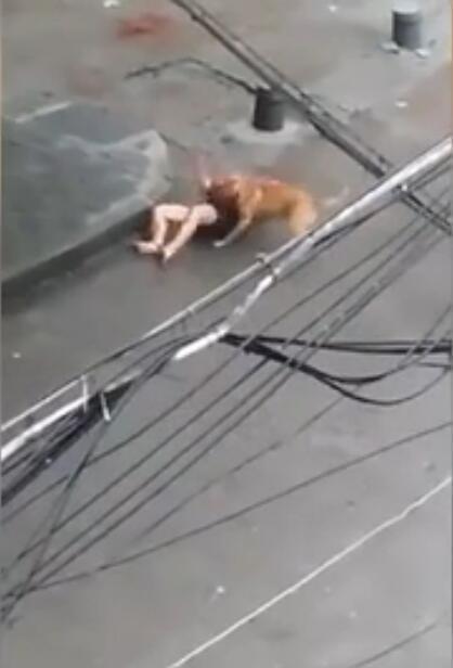 公交上配合陌生人弄到高c