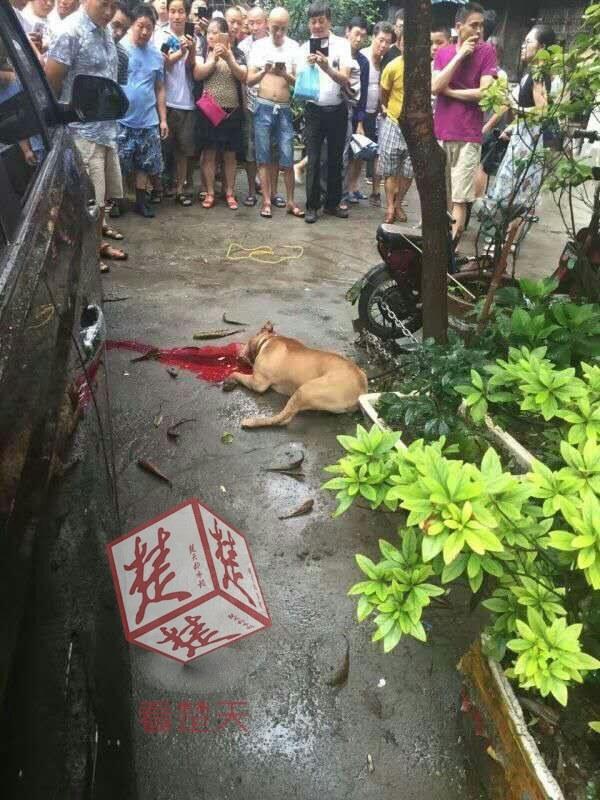 唯井真寻
