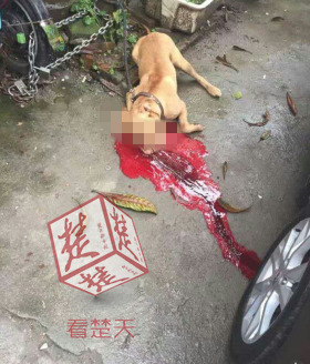 草莓秘 免费一区二区三区