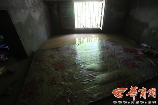 黄色网站网址链接