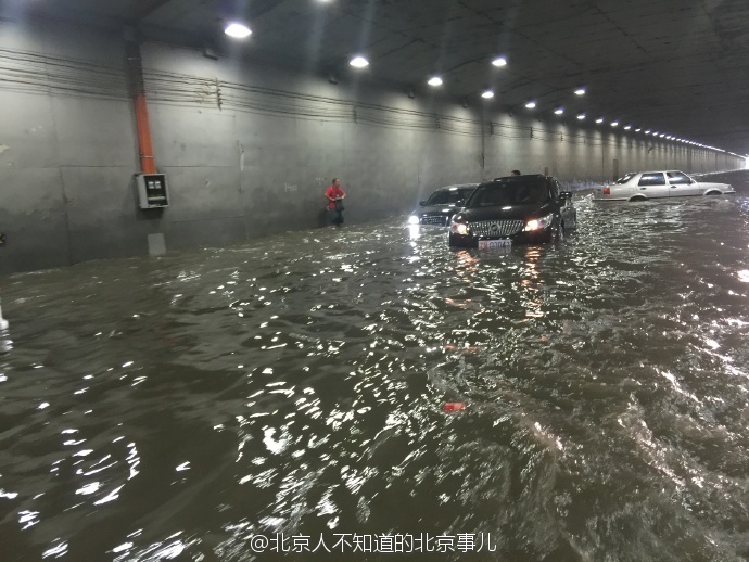 成人 视频 导航