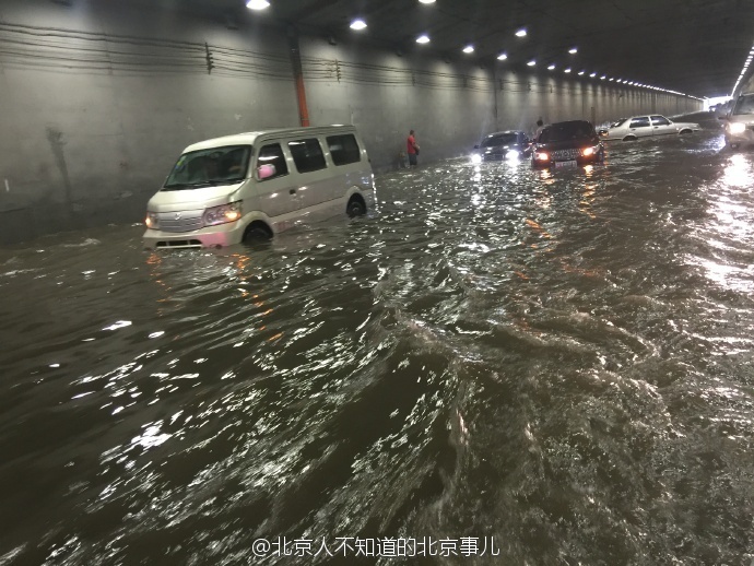 操多毛性感老妇人阴户