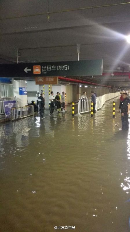 雙修
