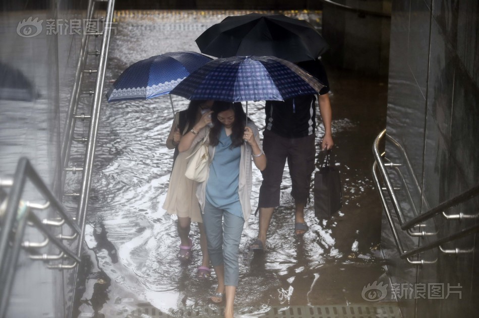 丰满少妇一级黄色片