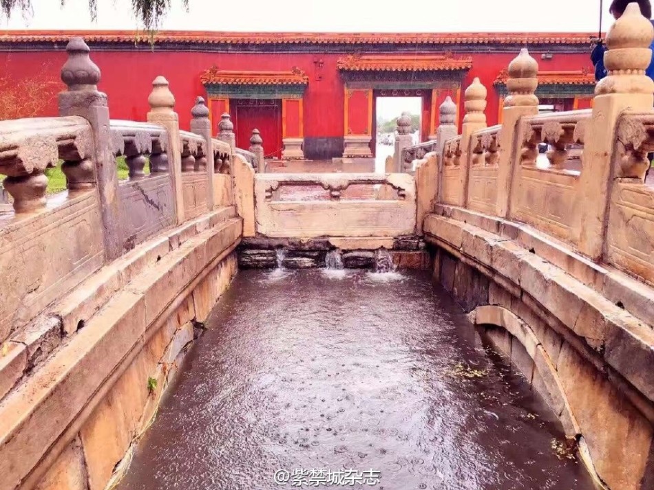 尻逼网站