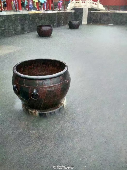 鲍鱼APP