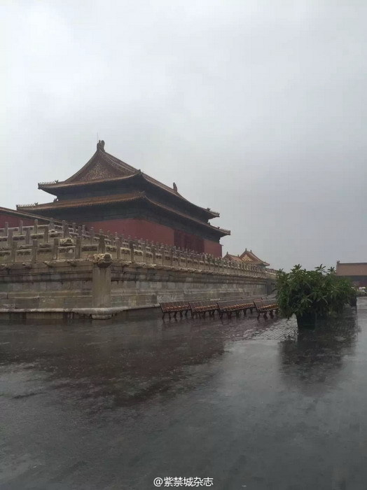 H片