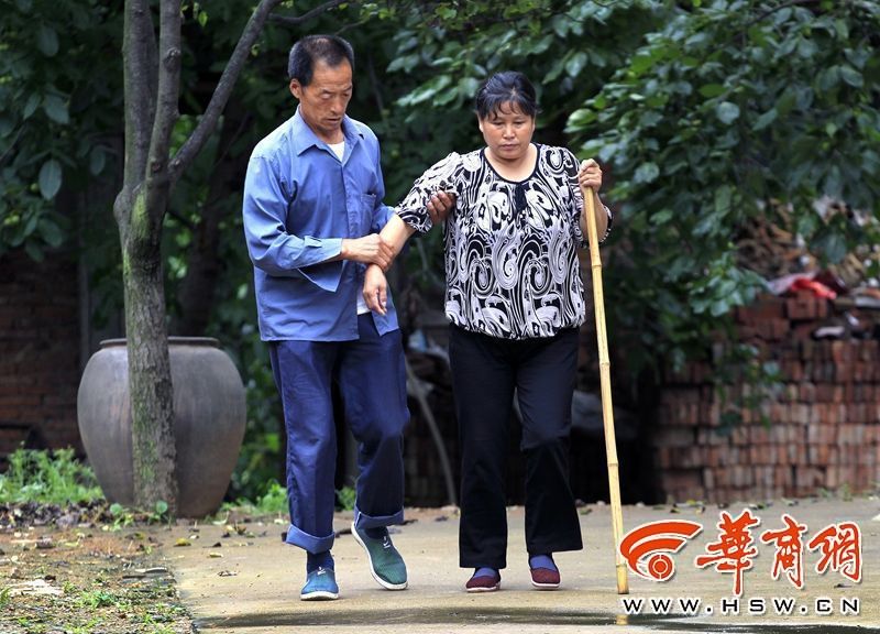 繁殖的迷宫桃子移植版