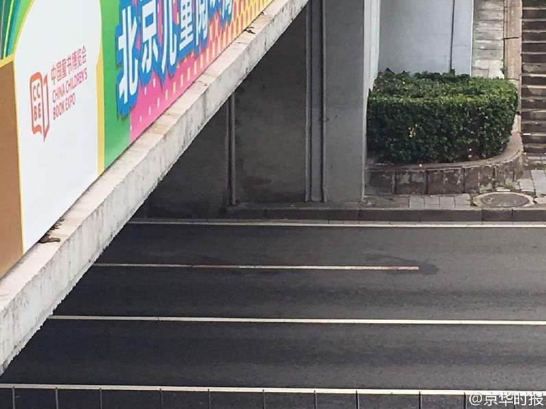 草莓视频导航
