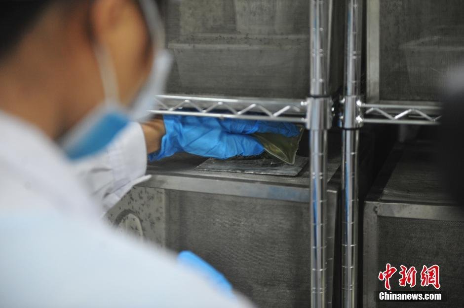欧美老妇人性爱手机在线