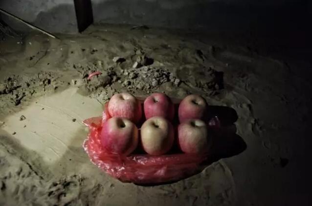 哦美性奴Free视频