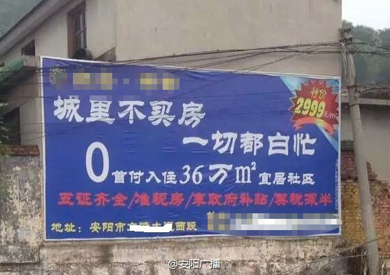 一级爱片