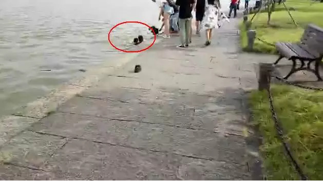 李丽珍被狂干2小时