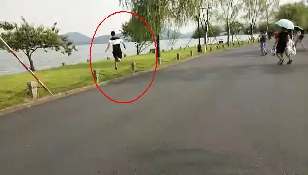 玖玖草