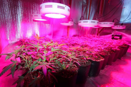 邪恶性爱网站