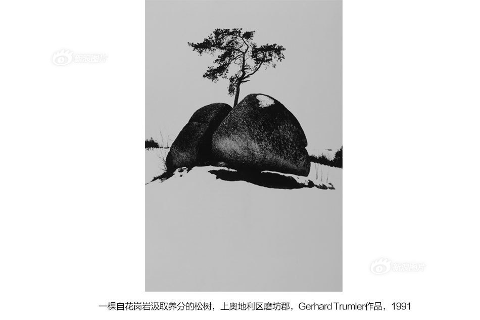 野兽前辈