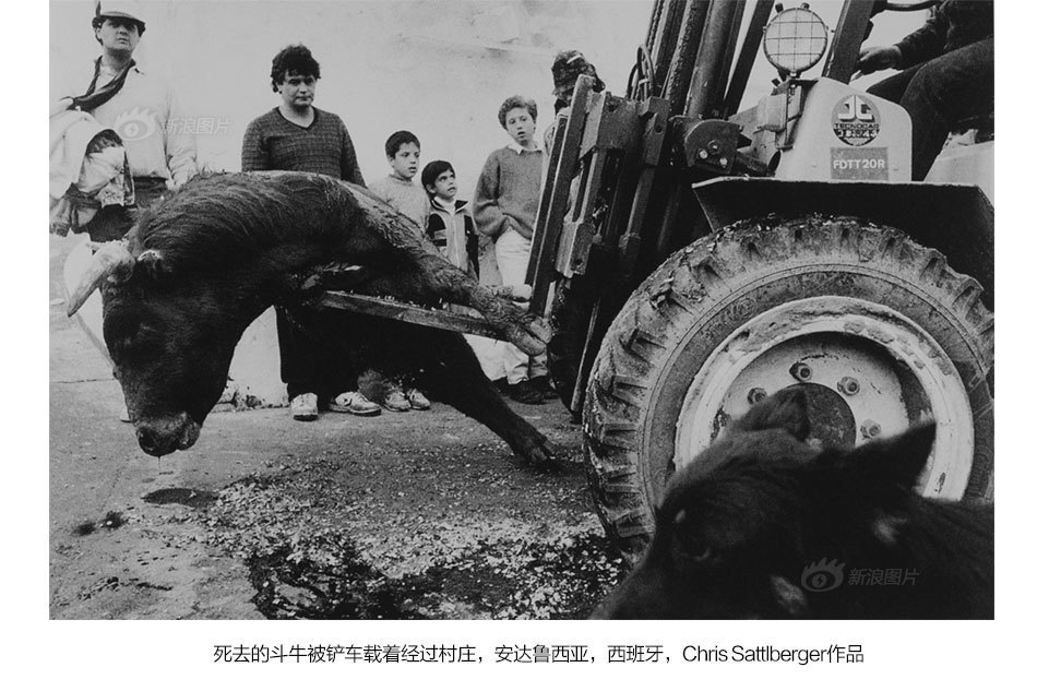 欧洲骚妇