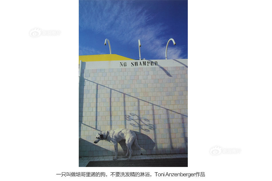 脱糞