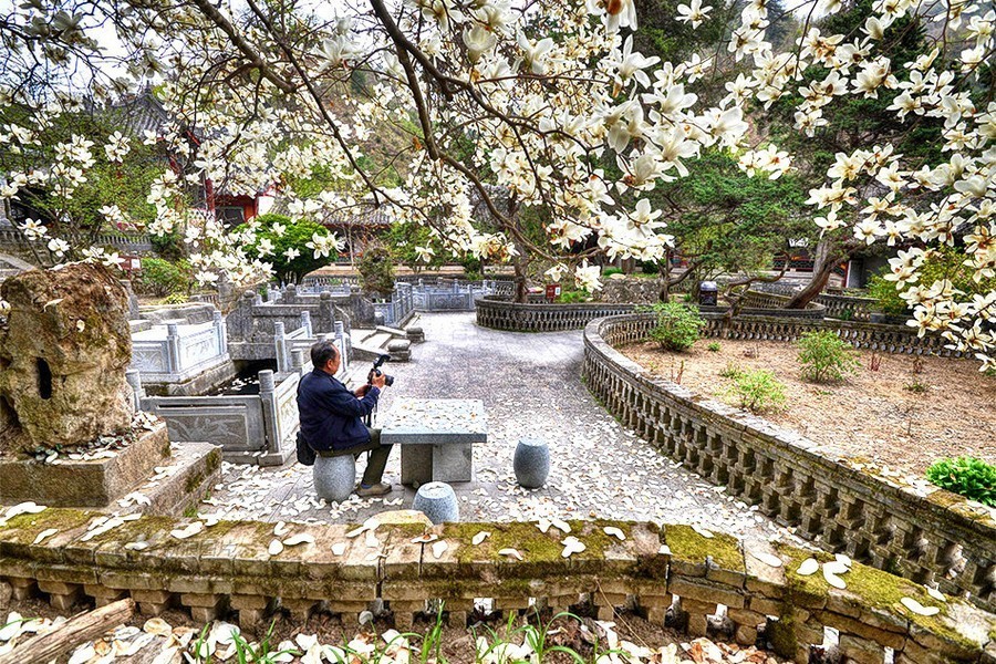 日本大学生高潮内
