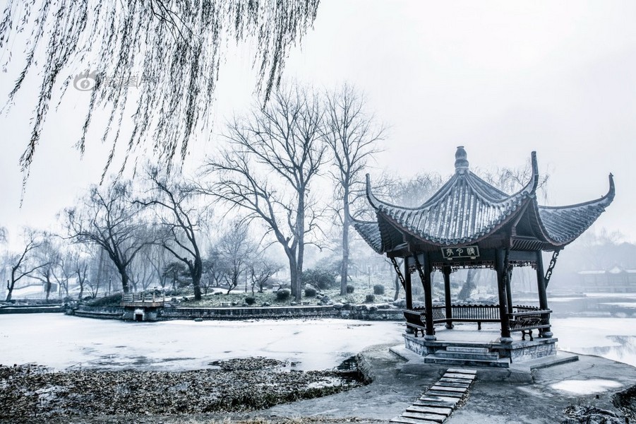 欧美一级A