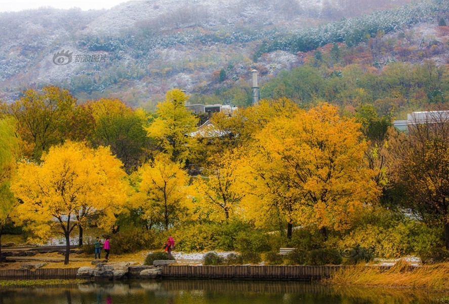 人活人口(3)