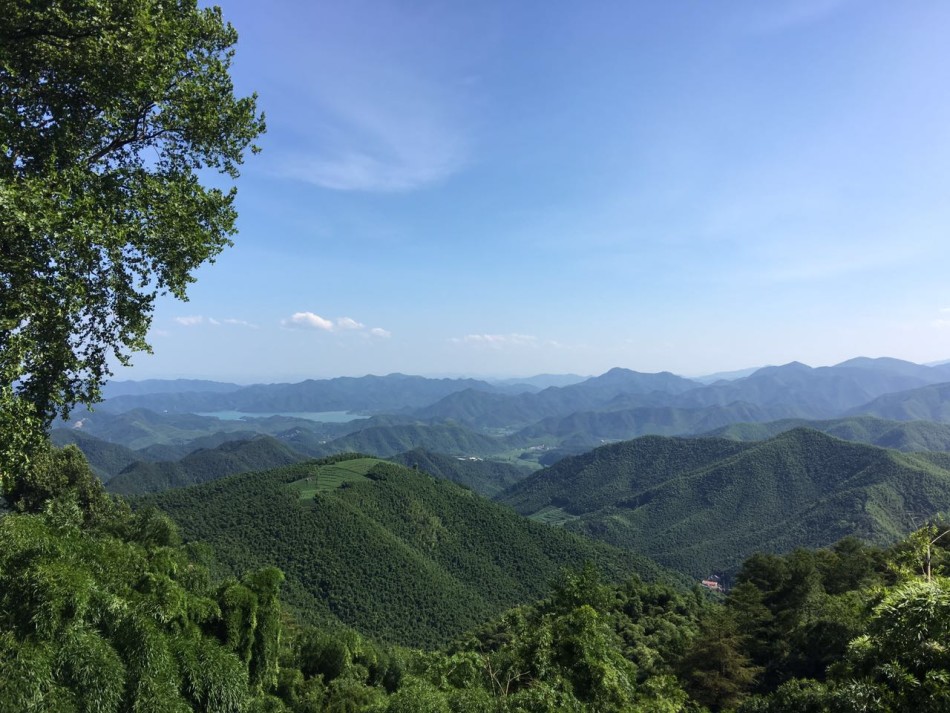 人體素描