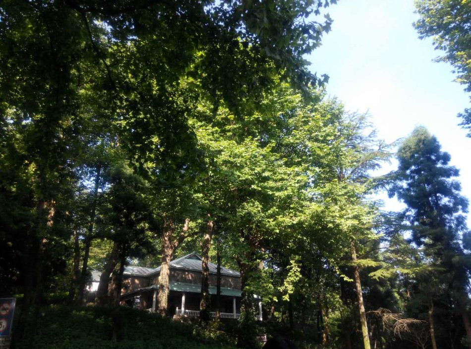 色老头影院
