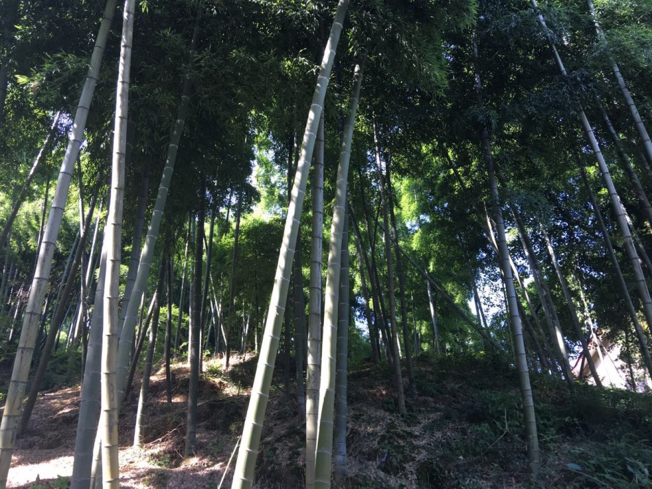 日产电影一区二区三区