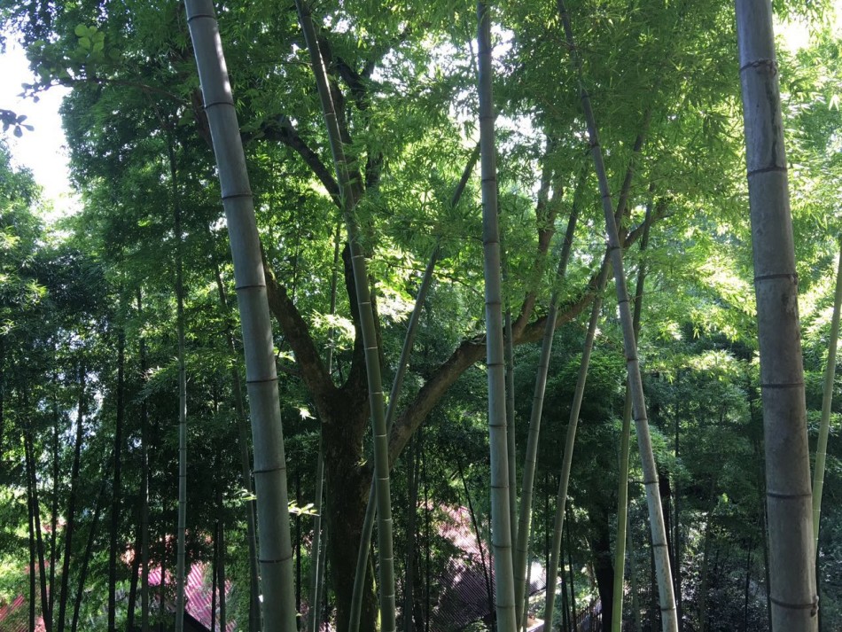 亚洲色小说