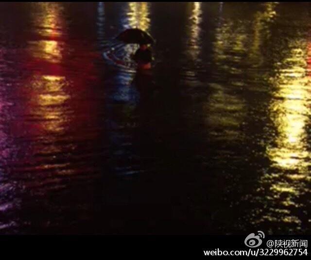 无码视频在线观看