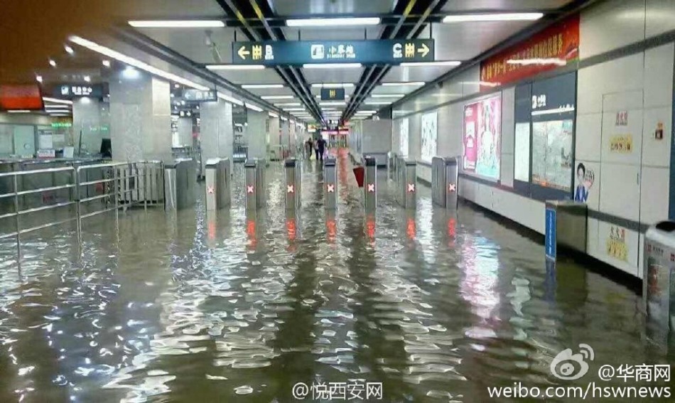 好湿 好紧 太爽了公交车动图
