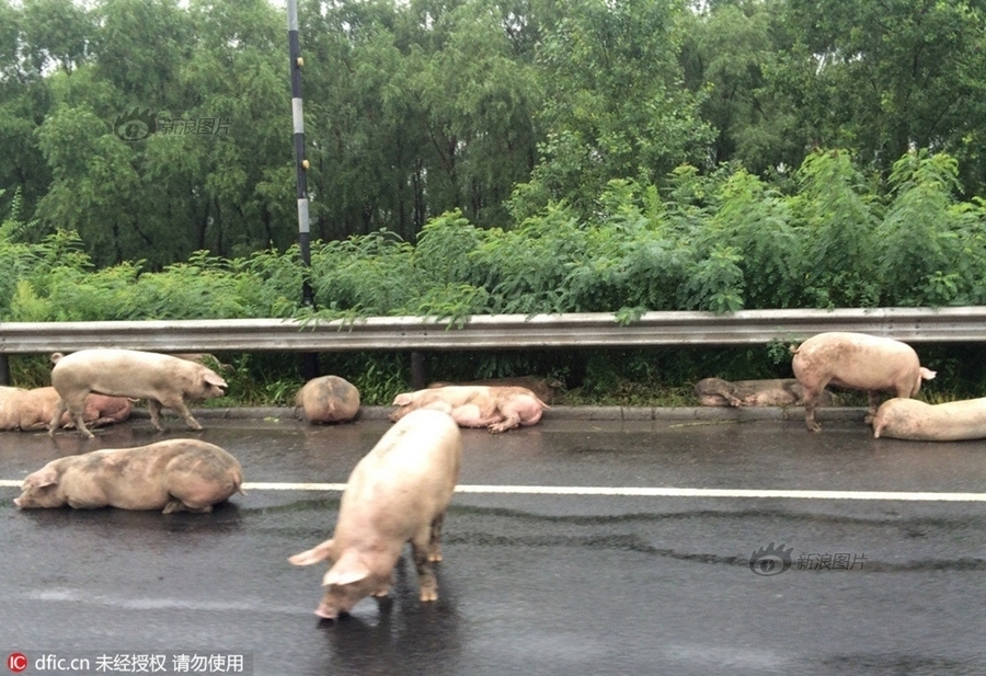 少婦素股性愛按摩