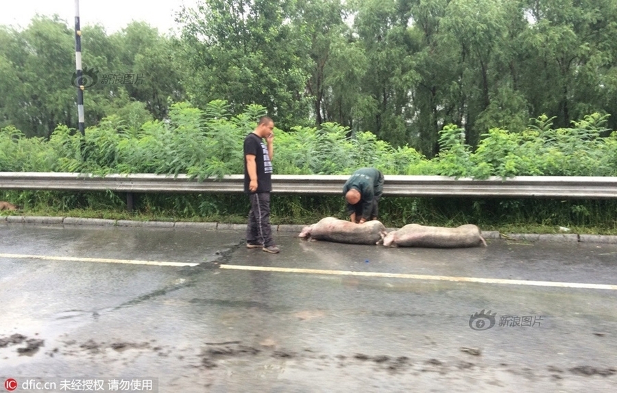 中国老奶奶买身