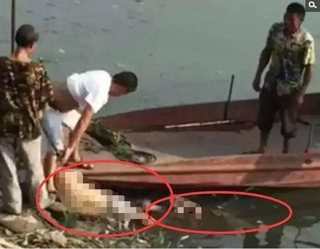 男男H黄动漫啪啪无遮挡软件