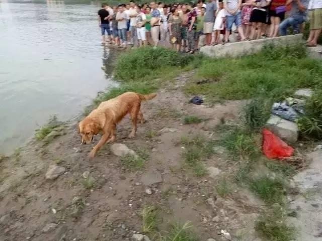 亚裔拳交电影