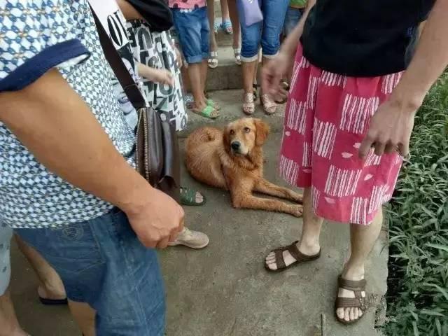 男生用j桶秘 美女屁股