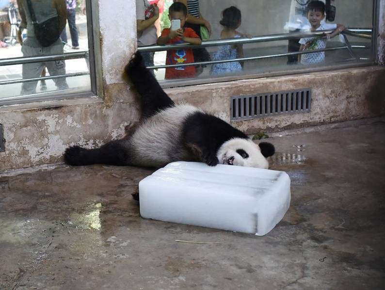 張瑞竹