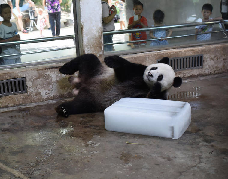 区欧美黄色网站