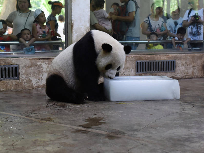 中国一级特黄大片的影响