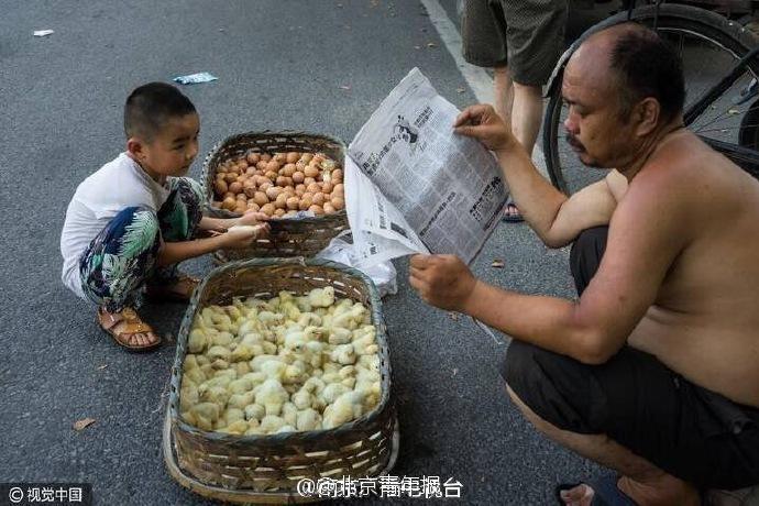 非洲Z00狂插老太婆逼