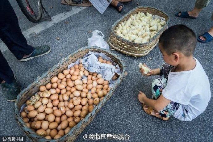 亚洲精品一区