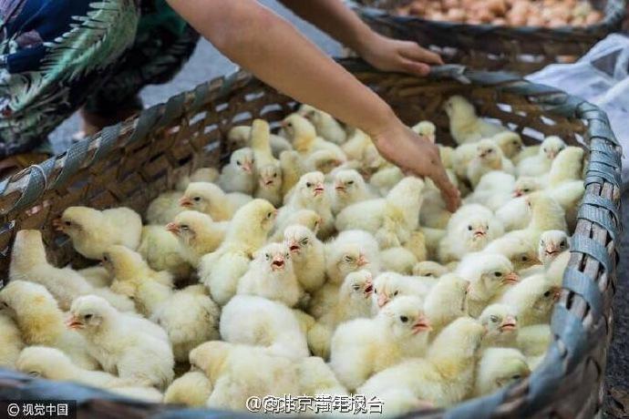 足控免费网站 XxAV88